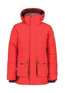 Meste talveparka Hoikko